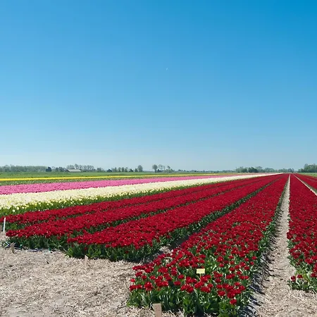 Дом отдыха Peaceful Dune Retreat With Garden *