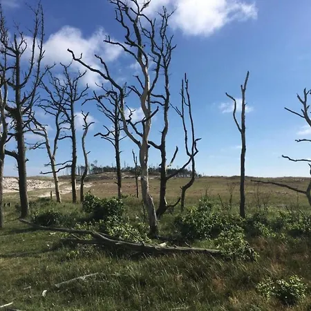 Peaceful Dune Retreat With Garden
